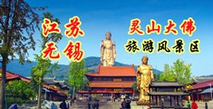 免费欧美污片江苏无锡灵山大佛旅游风景区