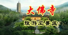 猛插黄色理伦中国浙江-新昌大佛寺旅游风景区